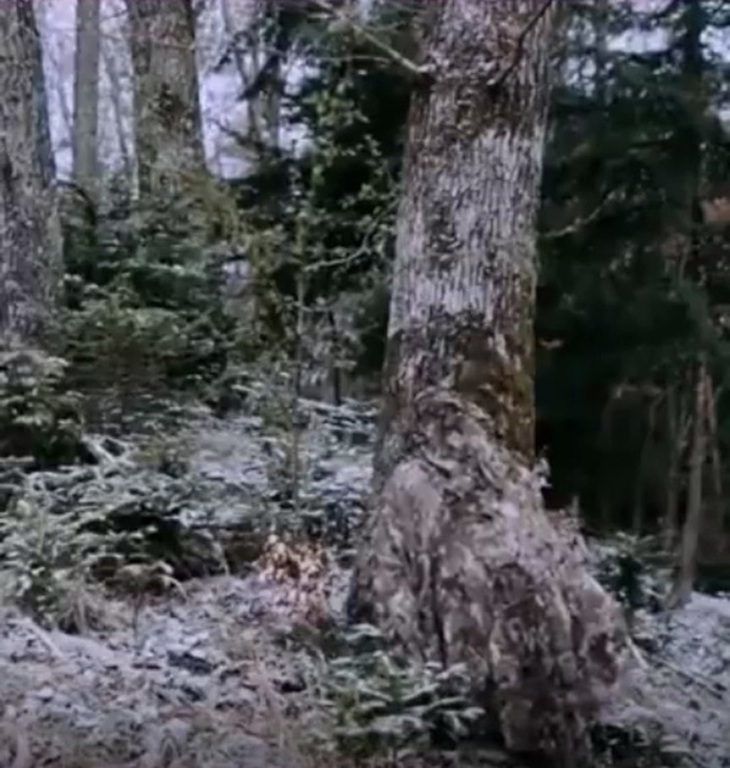 Mắt 10/10 mới thấy người đàn ông trốn ở đâu?