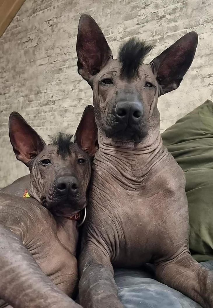 Sáng nay lạnh quá anh yêu ơi.