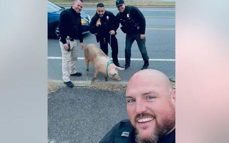 Thiếu niên 16 tuổi làm gì để sở hữu doanh nghiệp 20 triệu USD?- Ảnh 4.