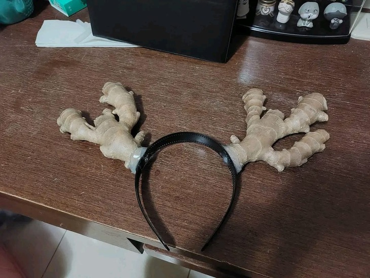 Cây nhà lá vườn