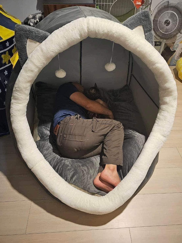 Vợ không cho ngủ chung thì còn có... 