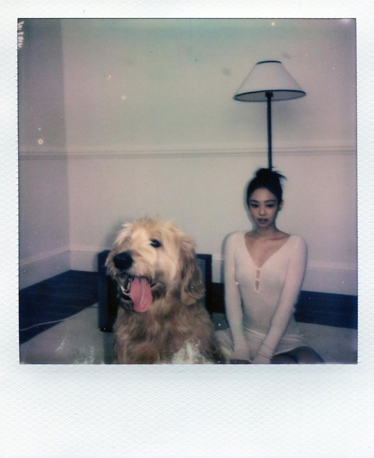 Gợi ý thêm một kiểu ảnh Giáng sinh nữa: Phải kiếm mấy chú chó to to làm nền.