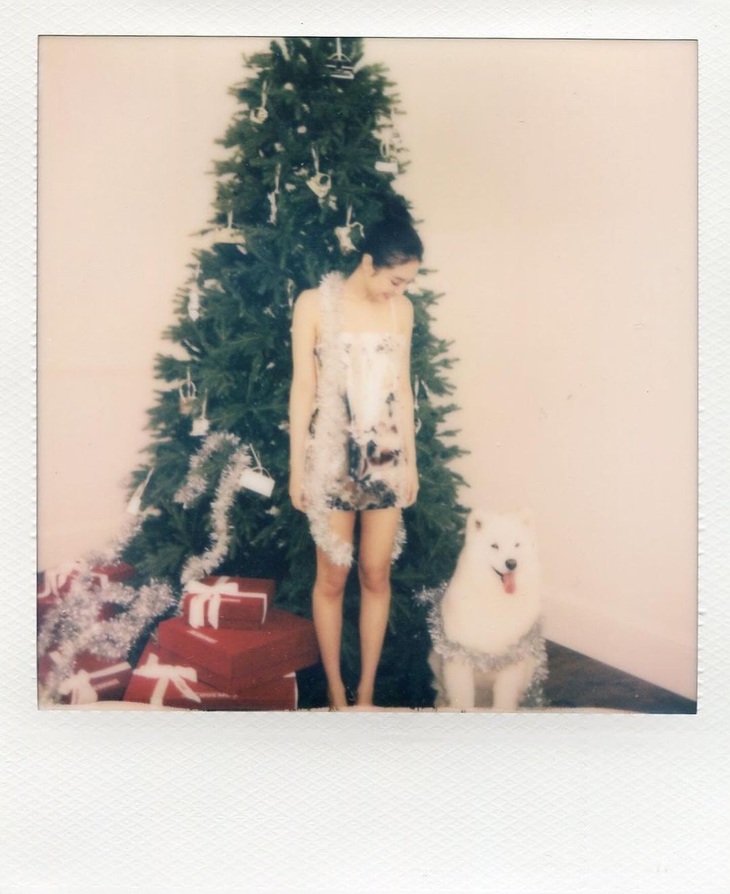 Boss ơi, đứng đây chụp ảnh với sen nè.