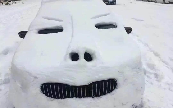 Ảnh vui 25-12: Ô tô băng giá