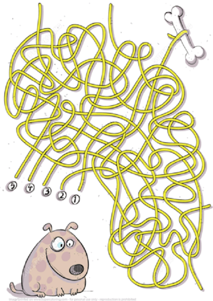 Câu đố hack não: Con gì có hai đầu, chín đuôi?- Ảnh 7.