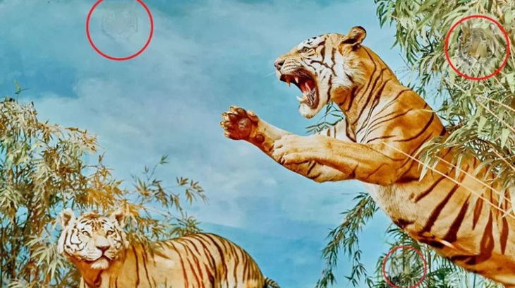 Thiên tài mới phát hiện 3 con hổ ẩn giấu trong tranh- Ảnh 2.