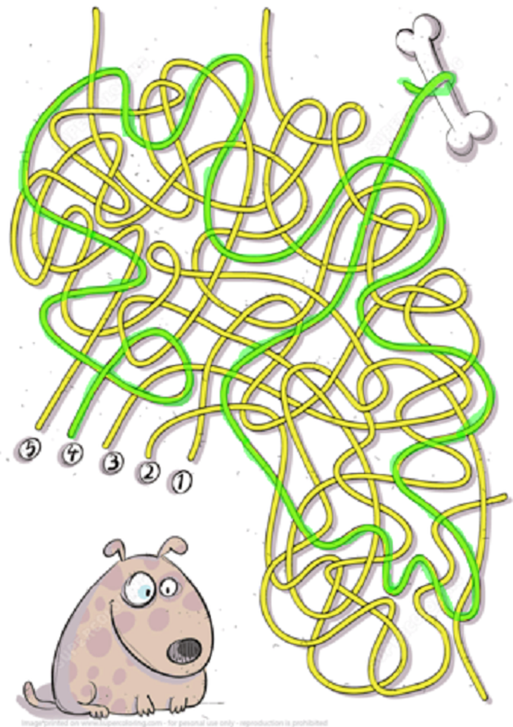 Câu đố hack não: Con gì có hai đầu, chín đuôi?- Ảnh 8.