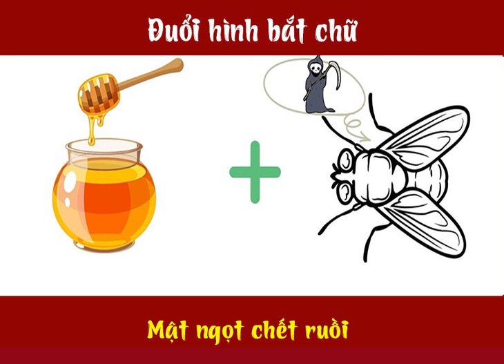 Câu ca dao, tục ngữ 'khó nhằn' này là gì? (P56)- Ảnh 2.