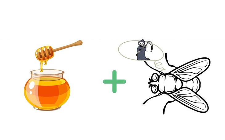 Câu ca dao, tục ngữ "khó nhằn" này là gì? (P56)