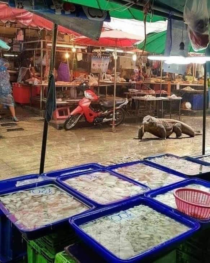 Mới xin phép mẹ đi chơi được xíu.