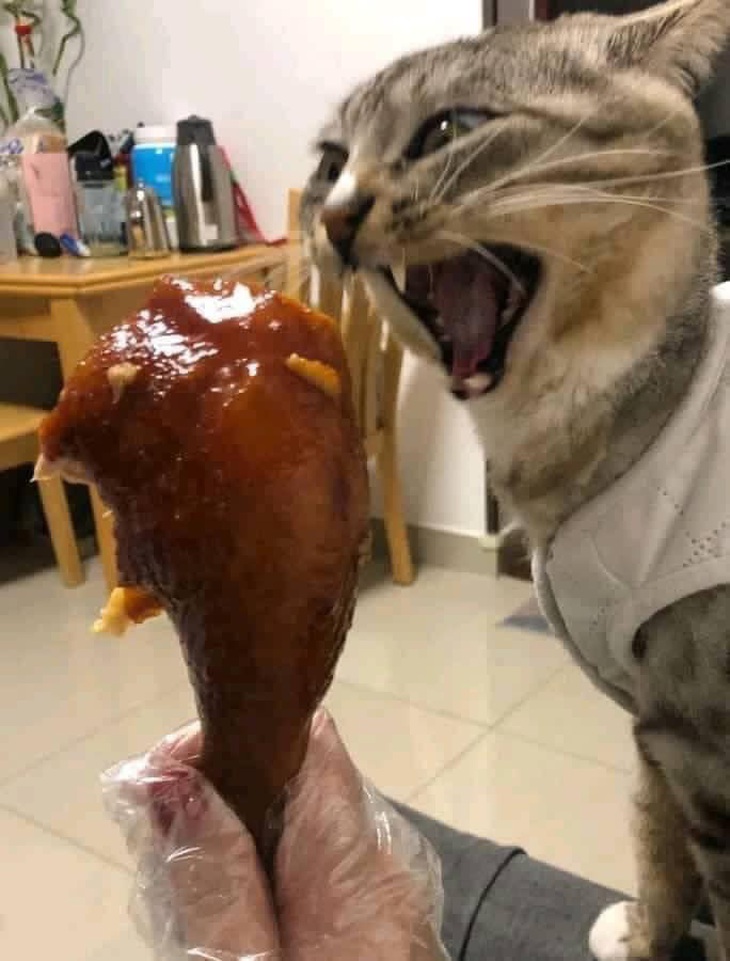 Khi đứa bạn thân của tôi chuẩn bị "xin một miếng".