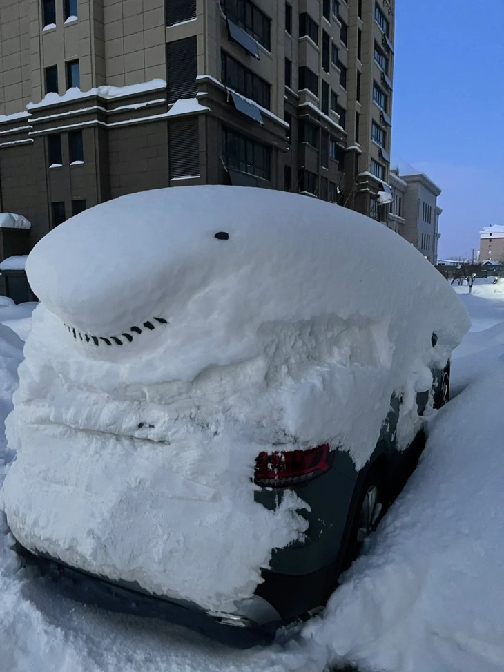 Chủ xe hốt hoảng khi "cá mập lên bờ".