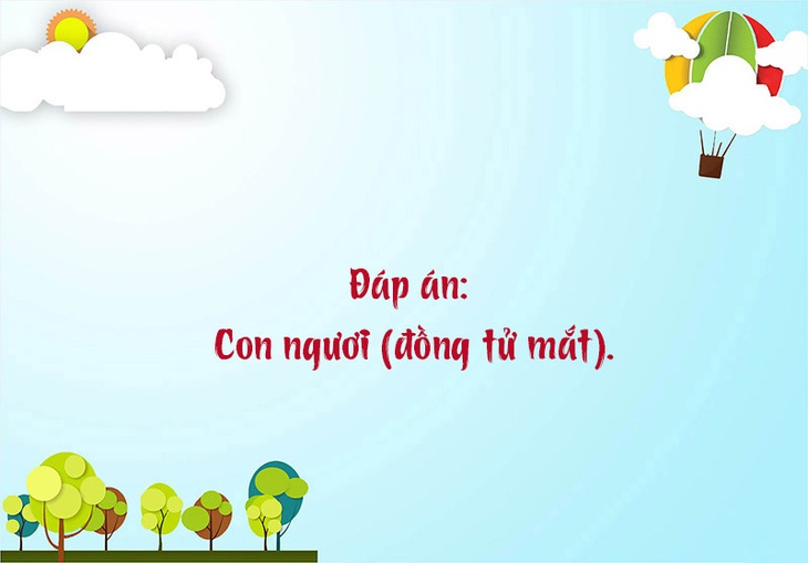 Câu đố hack não: Con gì chết rồi nhưng ai cũng bảo còn sống?- Ảnh 6.