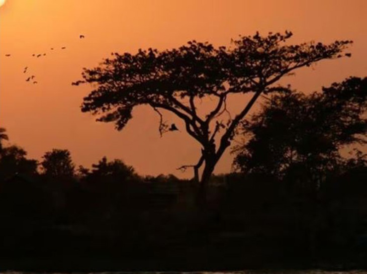 Ảo ảnh tiết lộ bạn có phải là người dũng cảm- Ảnh 1.