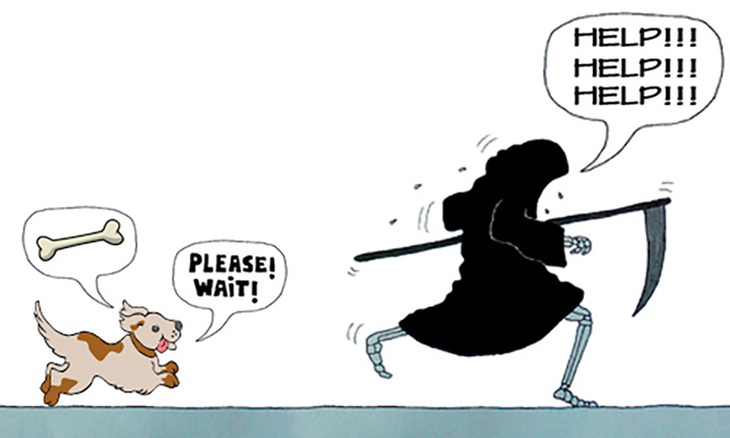 Câu đố hack não: Thần chết sợ con gì nhất?- Ảnh 2.