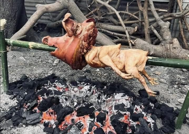 Tết là phải có gà, có heo! 