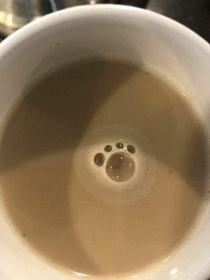 Có bàn chân lặng lẽ...