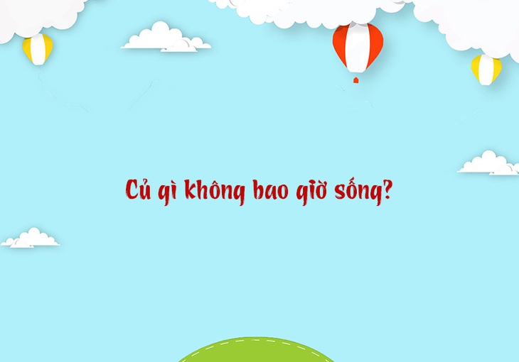 Câu đố hack não: Bao gì giúp ta an toàn?- Ảnh 3.