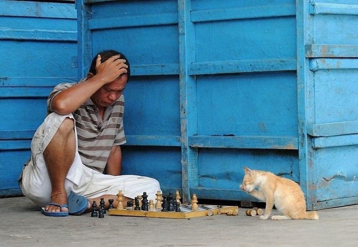 Từ từ, để coi!