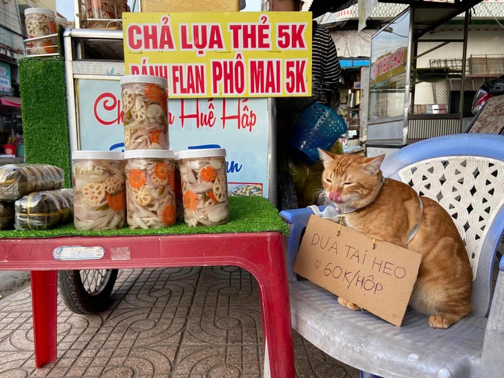 Ảnh vui 12-2: Người ta bảo cố chấp thì lại... dỗi! - Ảnh 3.