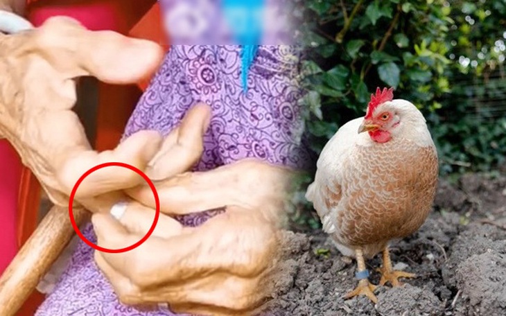 Dòng chữ trên chiếc "nhẫn quý" của cụ bà hé lộ nguồn gốc thật sự