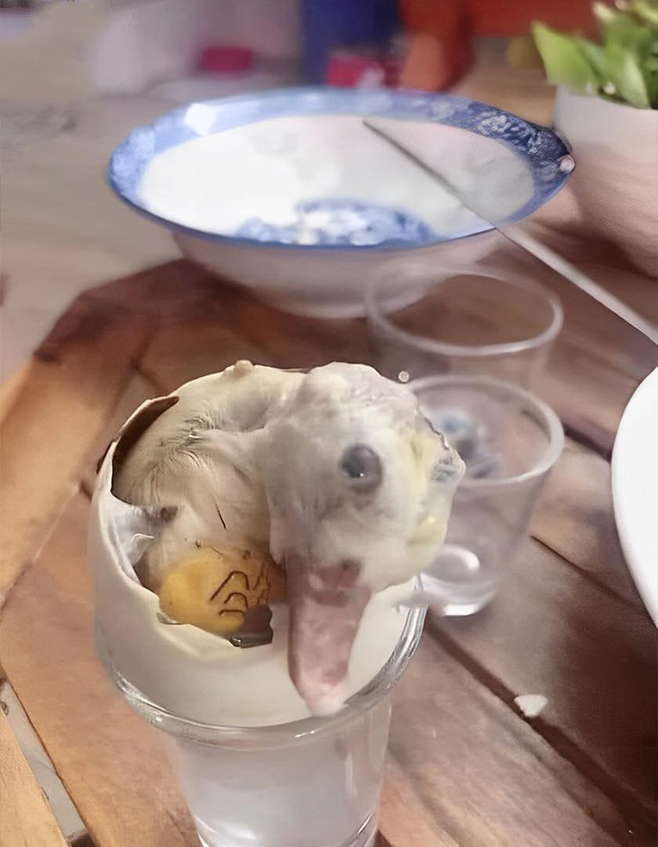 Ảnh vui 14-2: Nhân viên quán này nhiệt tình quá! - Ảnh 5.