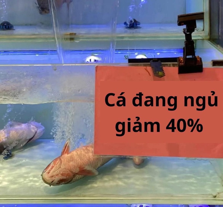 Ảnh vui 17-2: Cười sảng với ảnh cam thường của Park Seo Joon - Ảnh 5.