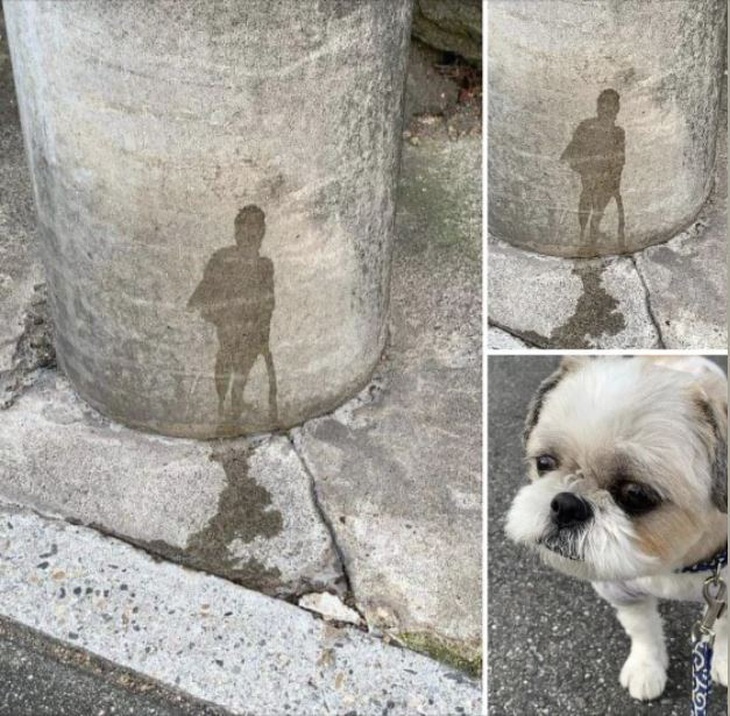 Ảnh vui 17-2: Cười sảng với ảnh cam thường của Park Seo Joon - Ảnh 3.