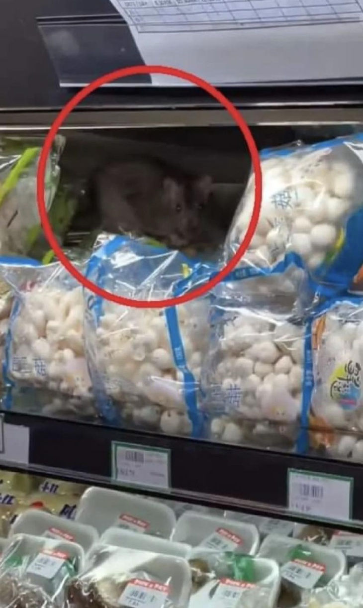 Ảnh vui 2-2: Netizen thắc mắc tại sao đường lên núi không thẳng? - Ảnh 5.