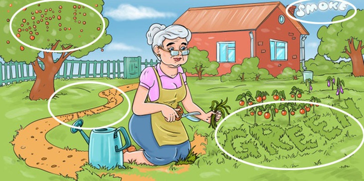 Tìm 4 từ ẩn giấu trong tranh làm vườn - Ảnh 3.