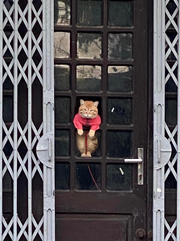 Ảnh vui 20-2: Bí kíp hạnh phúc khi đi du lịch của các cặp đôi - Ảnh 5.