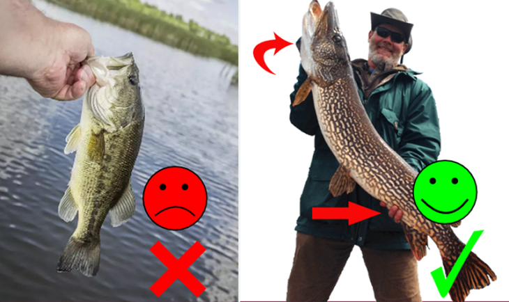 Đuổi hình bắt chữ (P1): Đây là câu tục ngữ, thành ngữ nào? - Ảnh 4.