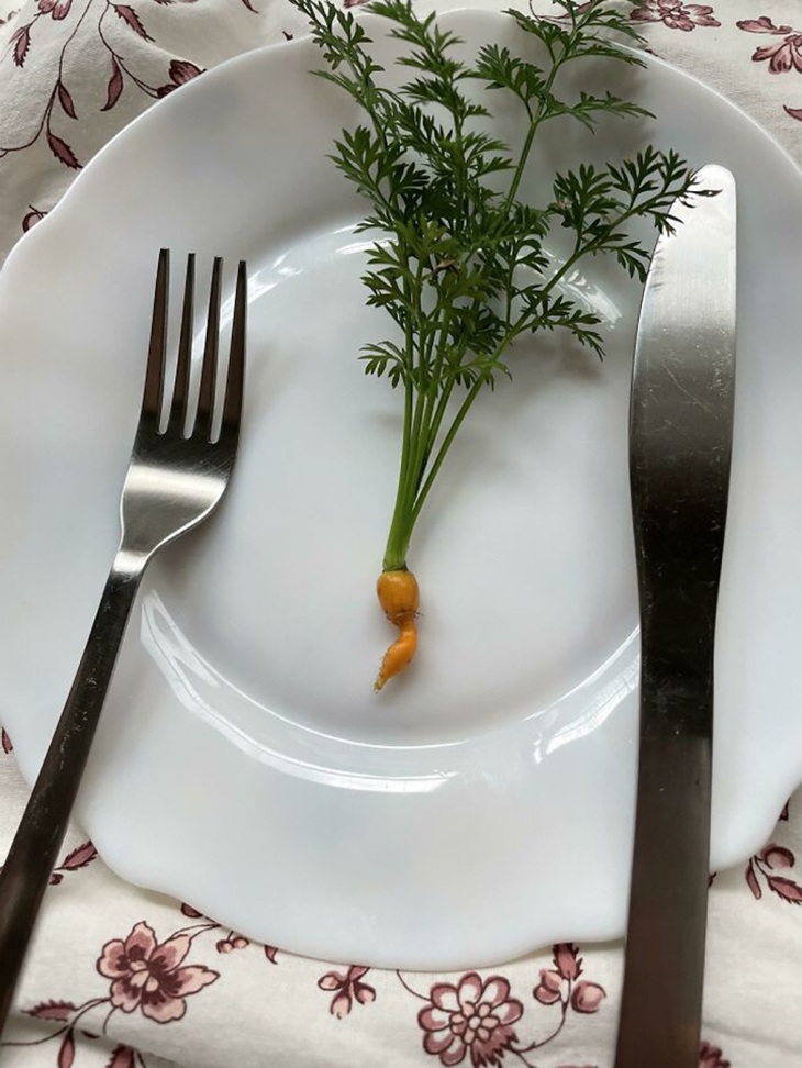 Dẹp ngay ý tưởng bỏ phố về rừng sau khi thấy loạt ảnh này - Ảnh 3.