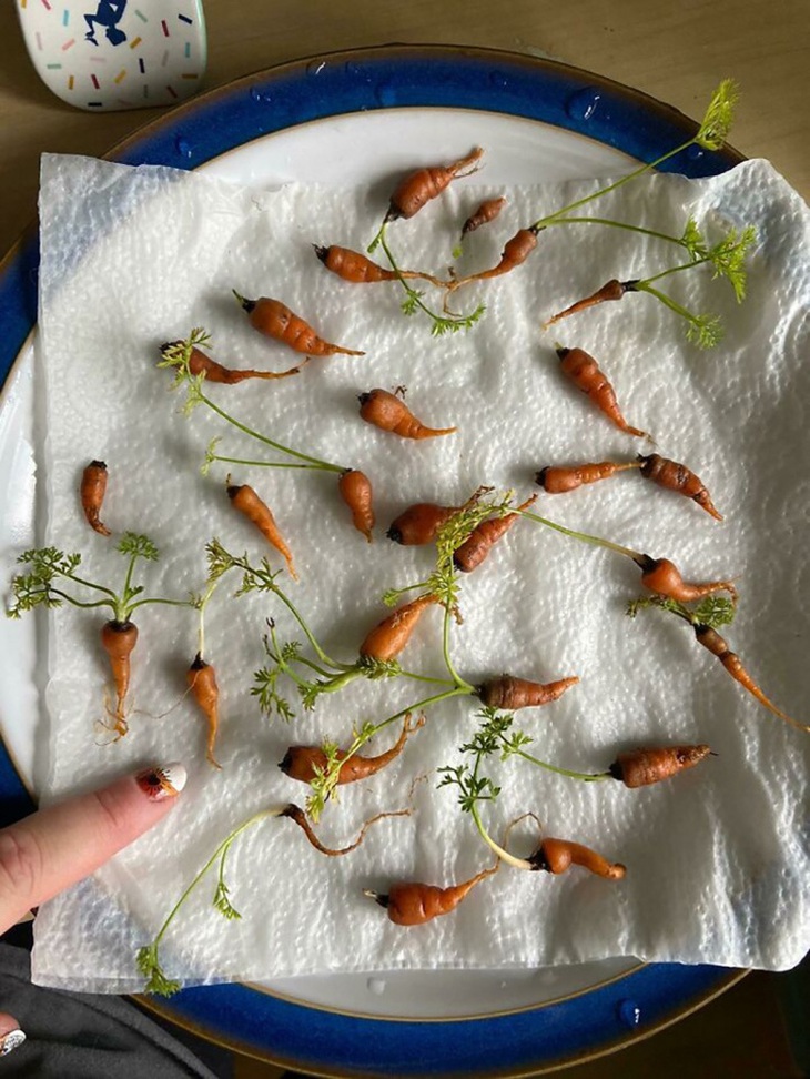 Dẹp ngay ý tưởng bỏ phố về rừng sau khi thấy loạt ảnh này - Ảnh 4.