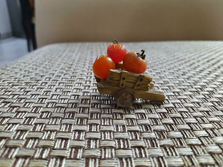 Dẹp ngay ý tưởng bỏ phố về rừng sau khi thấy loạt ảnh này - Ảnh 6.