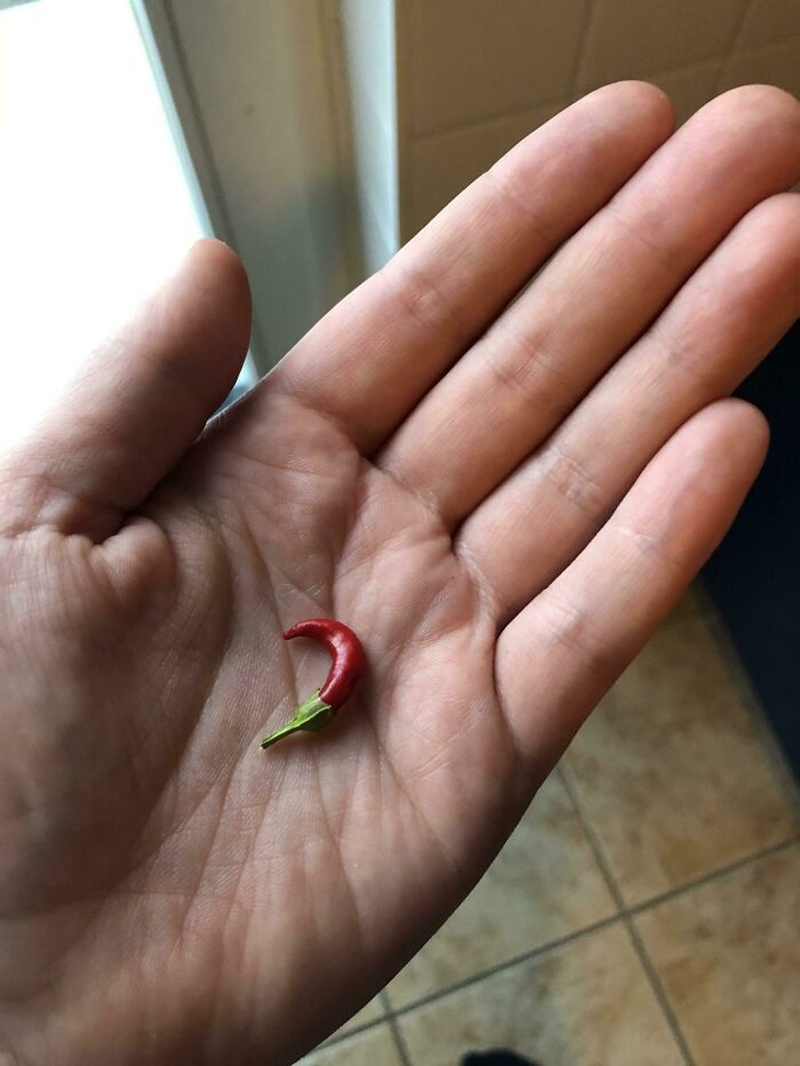 Dẹp ngay ý tưởng bỏ phố về rừng sau khi thấy loạt ảnh này - Ảnh 9.