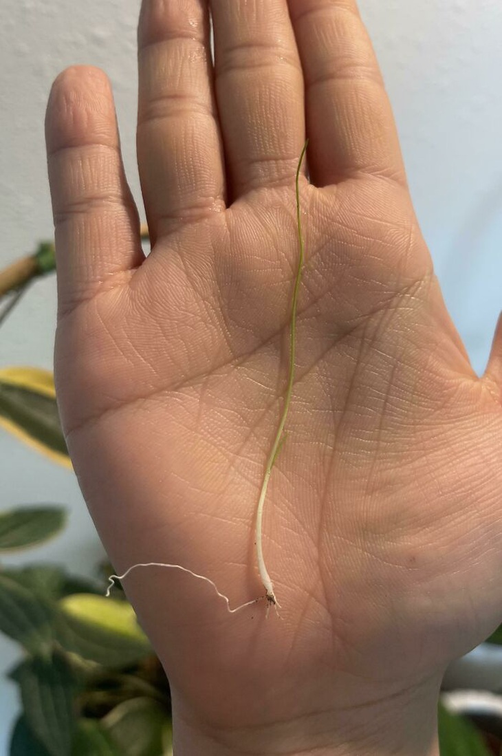 Dẹp ngay ý tưởng bỏ phố về rừng sau khi thấy loạt ảnh này - Ảnh 10.