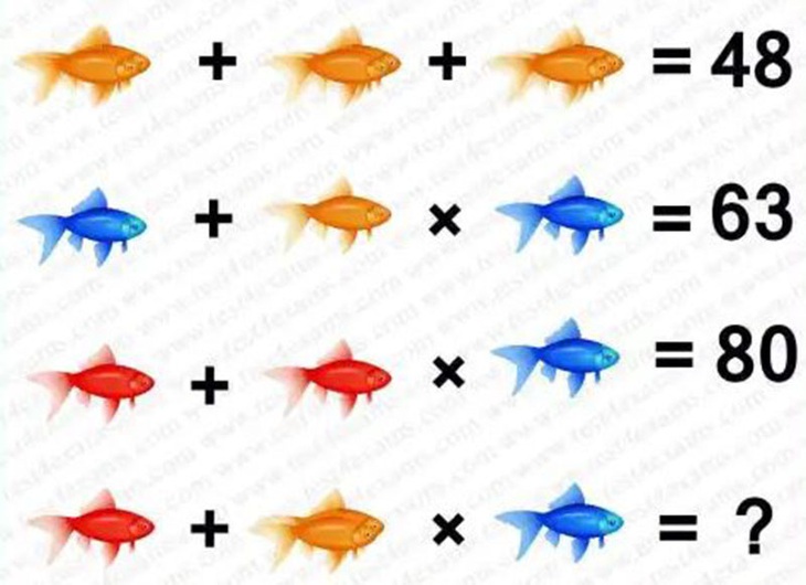 Cân não với câu đố đếm cá - Ảnh 1.