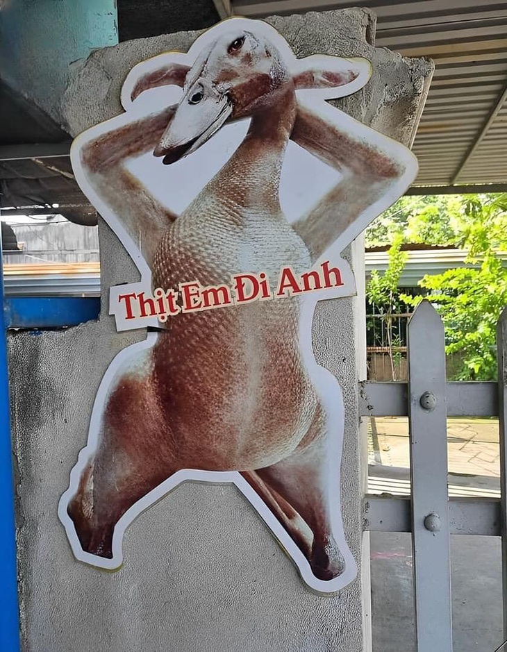 Ảnh vui 26-2: Nhìn mặt uy tín luôn! - Ảnh 2.