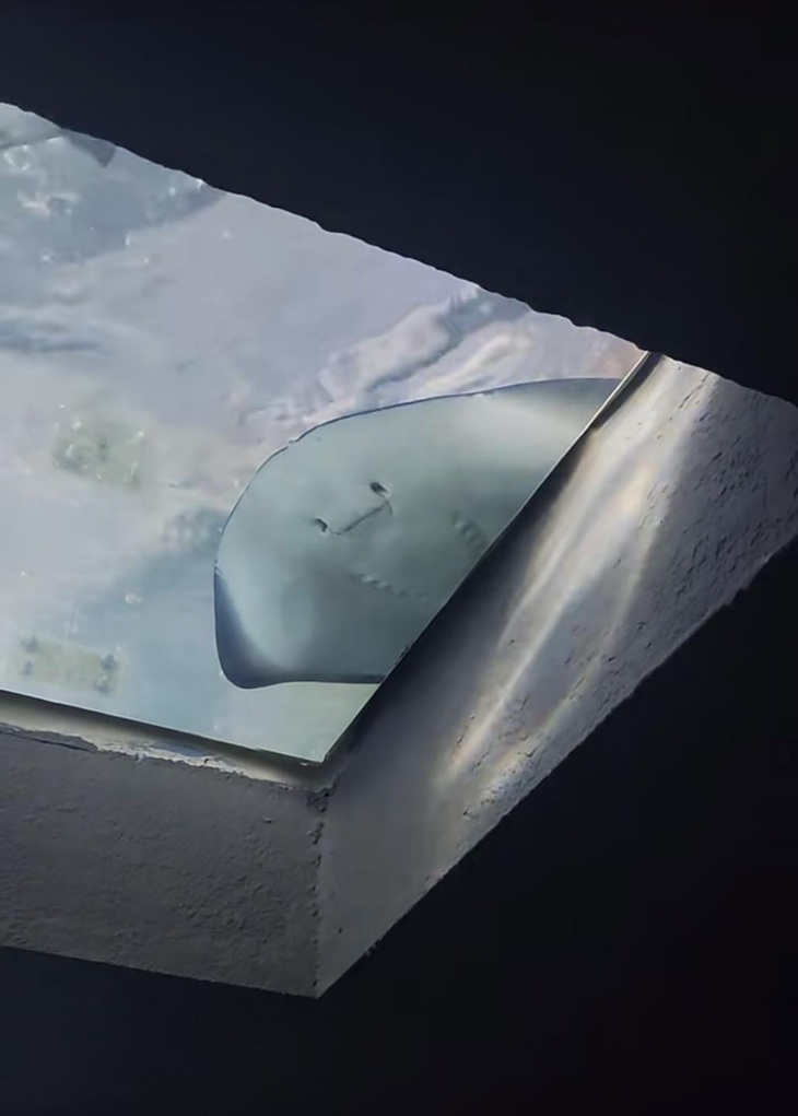 Ảnh vui 27-2: Mua hàng online và cái kết múp rụp - Ảnh 5.