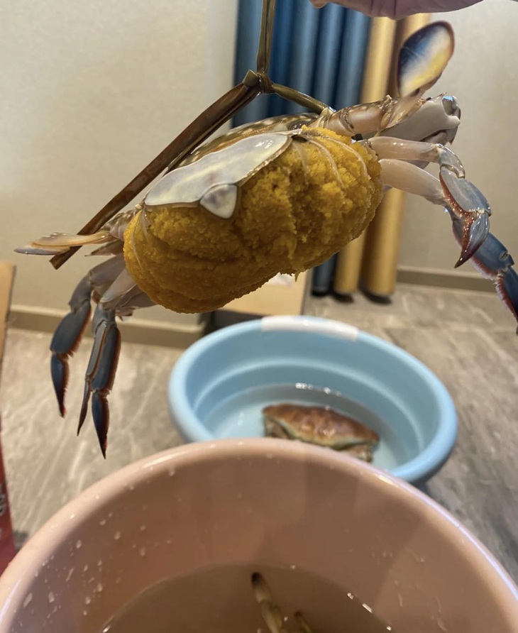 Ảnh vui 9-2: Phát hiện idol đi xe ôm không đội nón bảo hiểm - Ảnh 4.