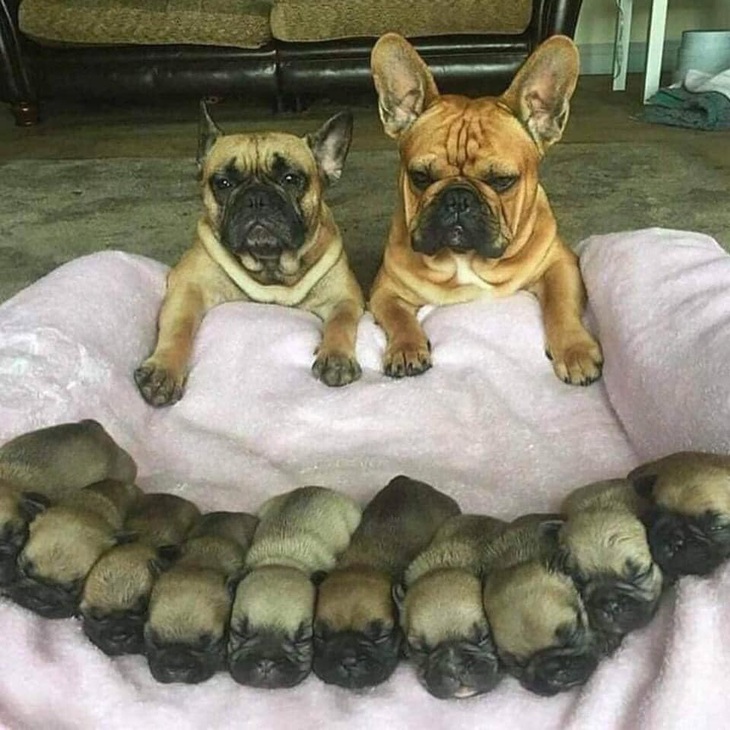 Ảnh vui 9-2: Phát hiện idol đi xe ôm không đội nón bảo hiểm - Ảnh 7.