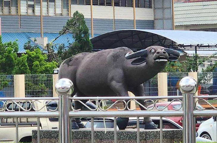 Soi 360 độ ngoại hình chú trâu hoảng hốt gây sốt ở Malaysia - Ảnh 1.