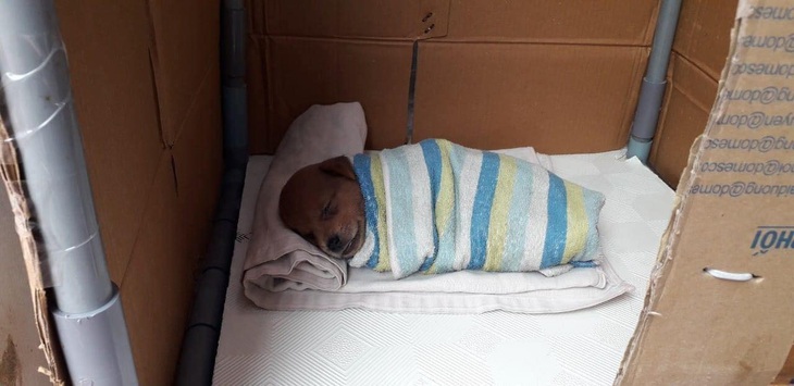 Ảnh vui 2-3: Anh trai lấy cho em cái bánh hamburger! - Ảnh 6.