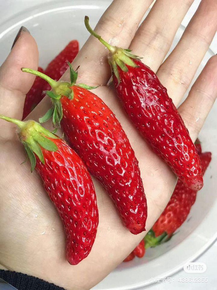 Ảnh vui 2-3: Anh trai lấy cho em cái bánh hamburger! - Ảnh 3.