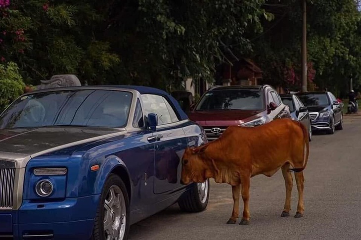 Ảnh vui 25-3: Hóa ra định mệnh là có thật trên đời - Ảnh 4.