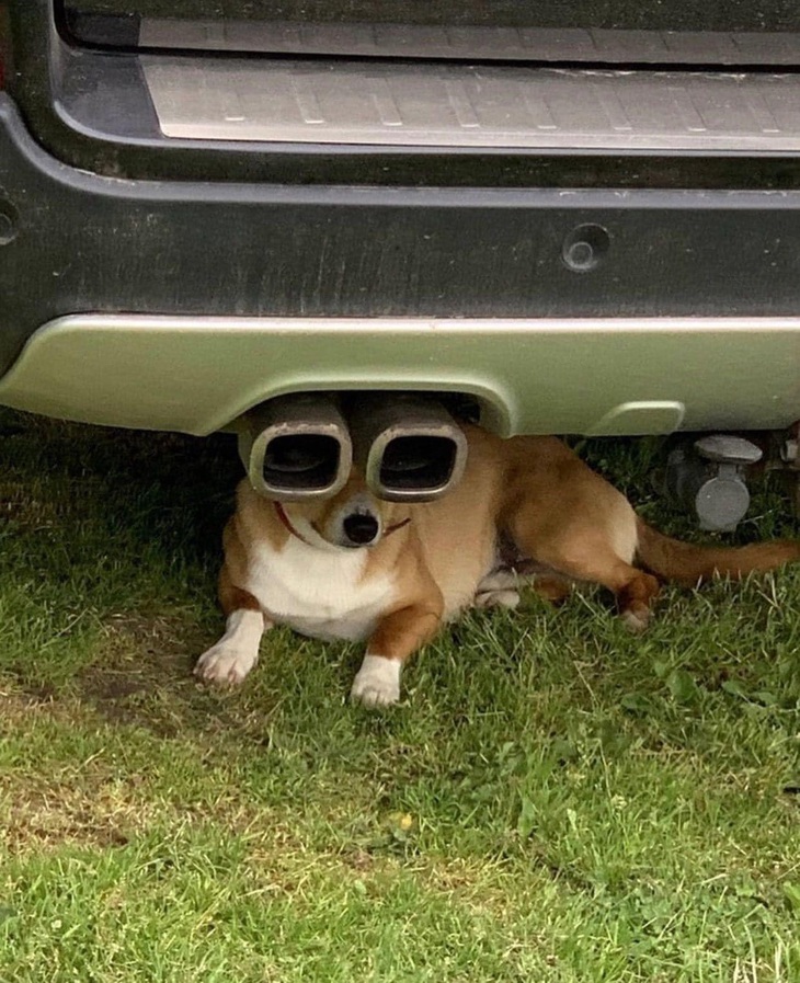 Ảnh vui 25-3: Hóa ra định mệnh là có thật trên đời - Ảnh 6.