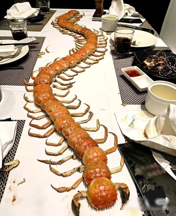 Ảnh vui 27-3: Chú chó sung sướng khi được đi chơi - Ảnh 2.