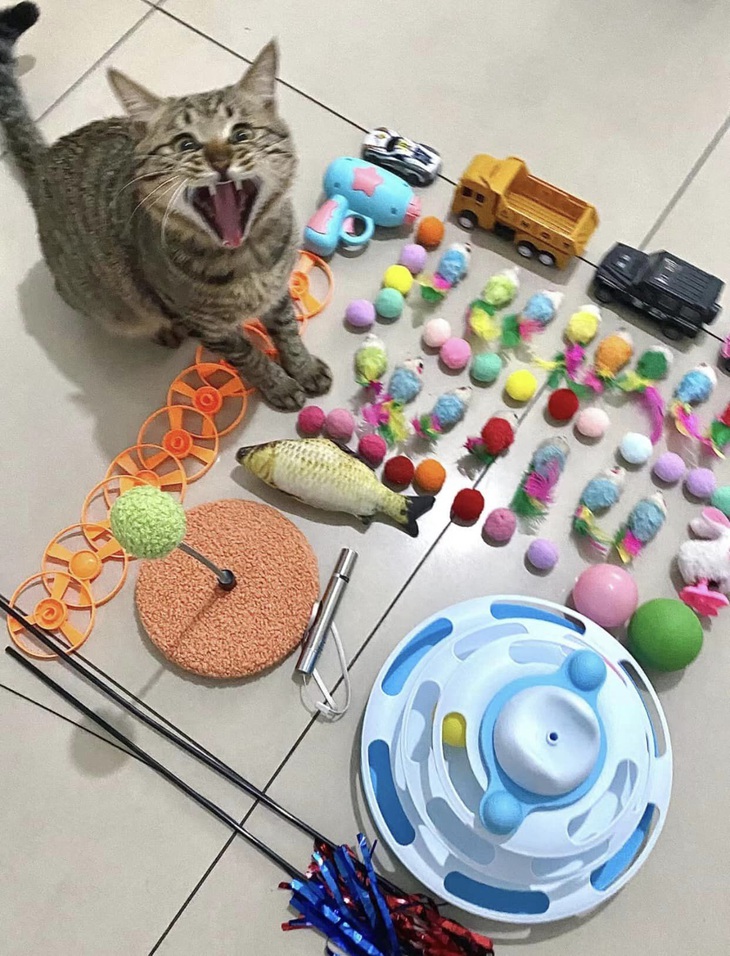 Ảnh vui 3-3: Tìm điểm bất hợp lý trong hình bà trùm nông sản - Ảnh 3.