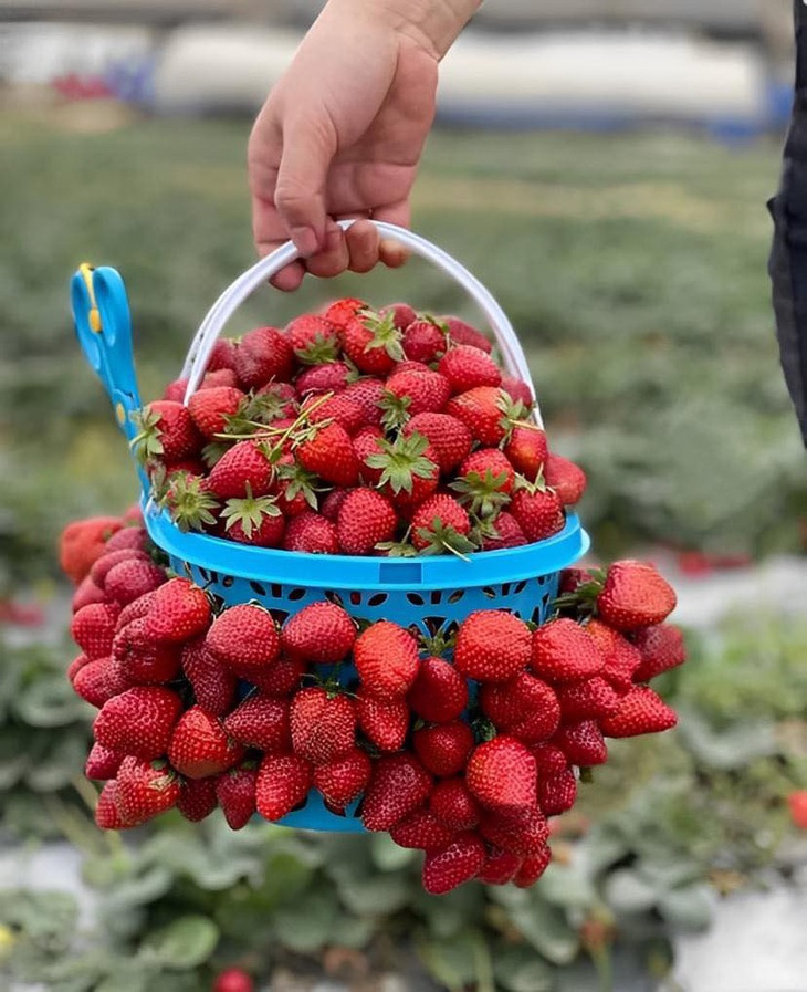 Ảnh vui 31-3: Thí sinh đang thi hoa hậu mà nhớ mẹ... ngang - Ảnh 5.